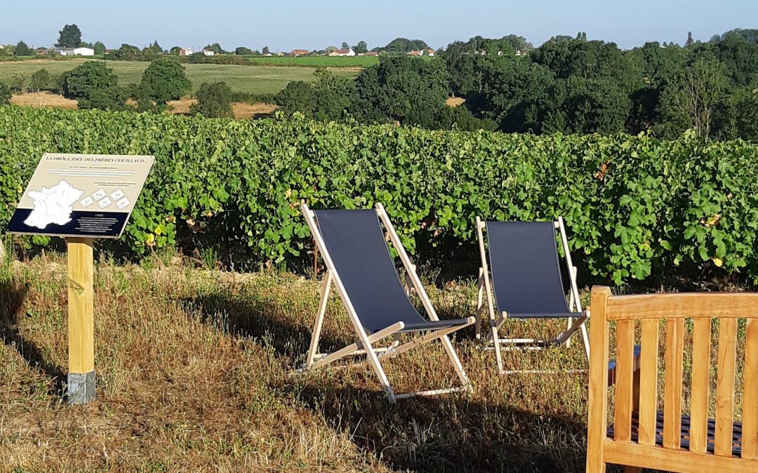 Balade et pique-nique dans nos vignes