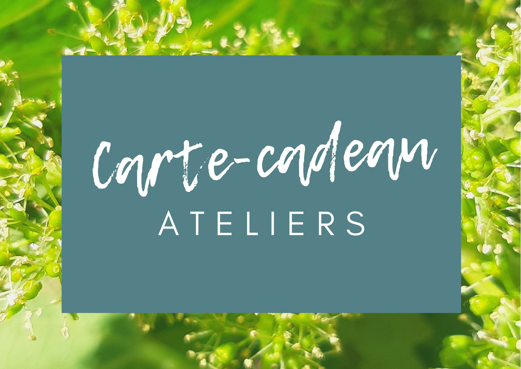 Voici un cadeau de notre part. (1)